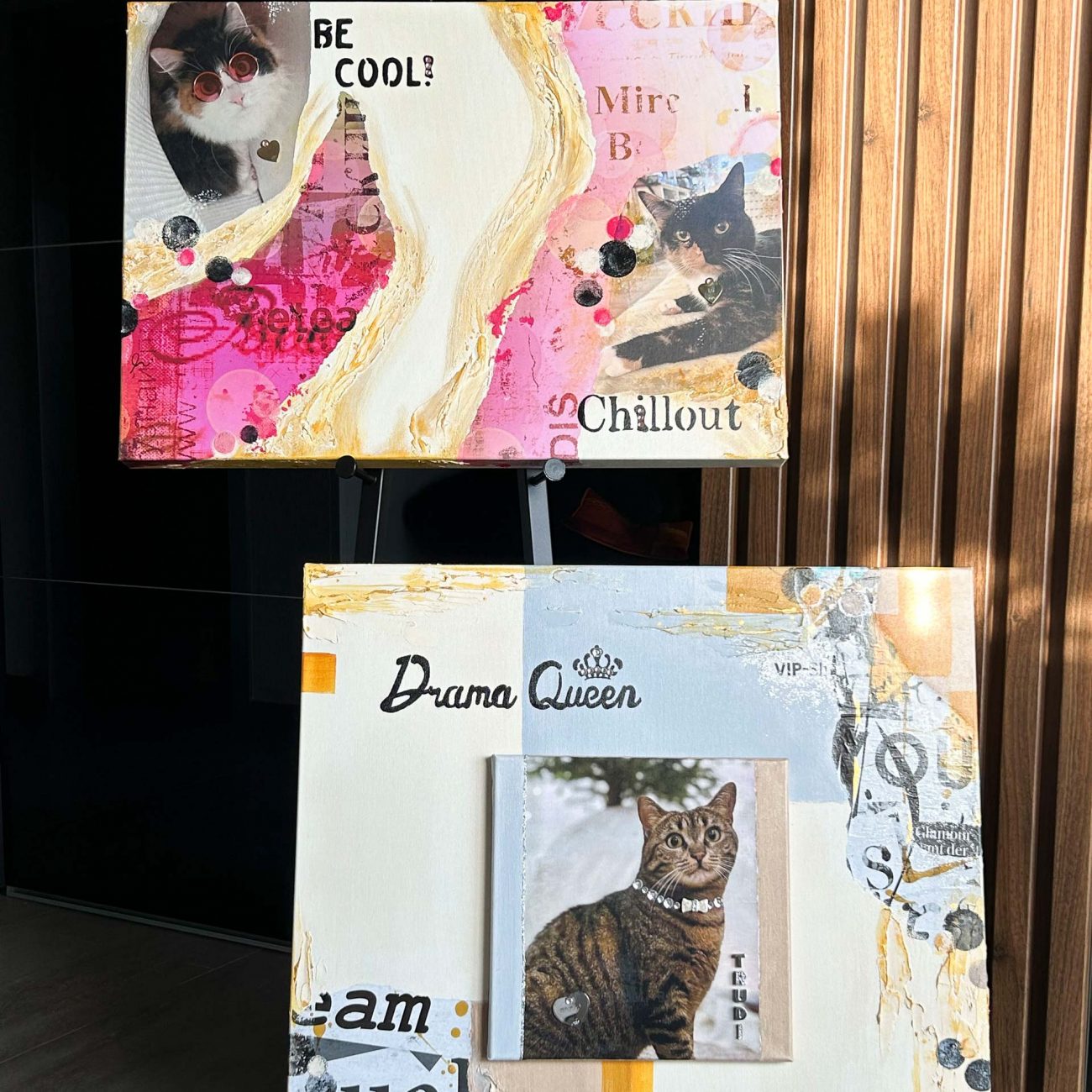 Cool-Cats_square